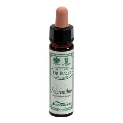 ainsworths scleranthus 10ml