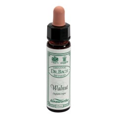 ainsworths walnut 10ml