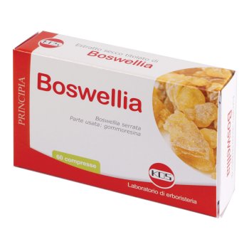 boswellia es.sec 60cpr 24g kos