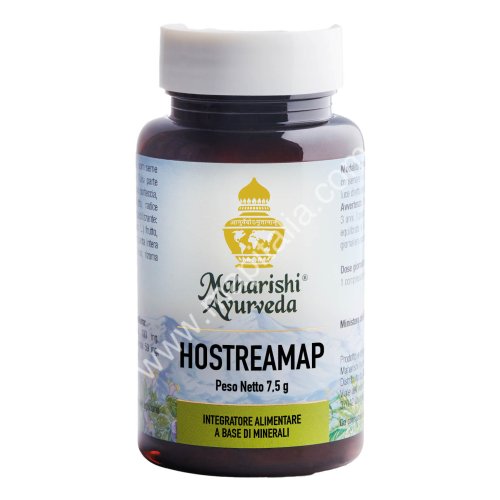 HOSTEREAMAP MA649 60CPS 7,5G