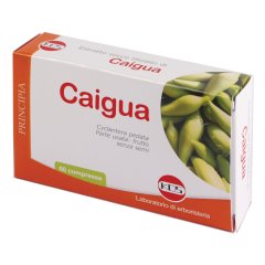 caigua estrtratto secco 60cpr 22,2g