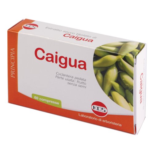 CAIGUA ESTRTRATTO SECCO 60CPR 22,2G