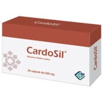 cardosil-24cps 500mg