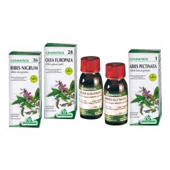 gemmosol 3 ippocastano 50ml