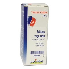 solidago virga aurea 60ml tm