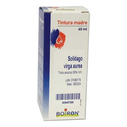 Solidago Virga Aurea 60ml Tm