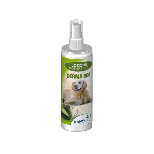 DERMA DOG LOZ RIGEN CUTE 125 M