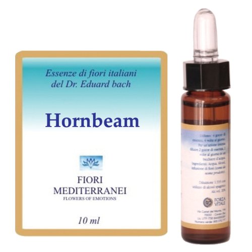 HORNBEAM FIORI MEDITER 10ML