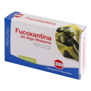 fucoxantina 60cpr kos