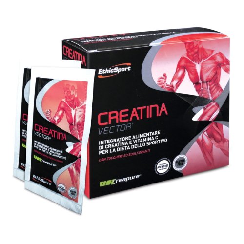 CREATINA VECTOR 20BUST 8G