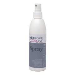 clorexyl soluz.spray 150ml