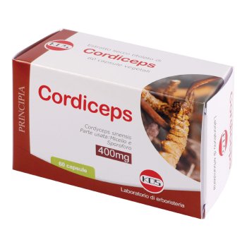 cordiceps estr secco 60cps kos