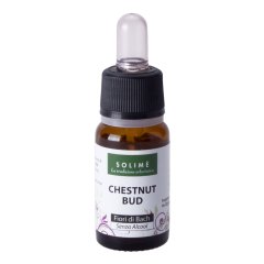 chestnut bud 10ml