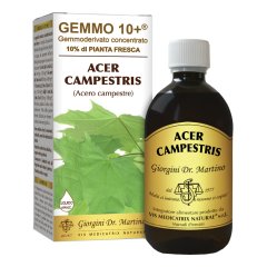 acero camp 500ml analco gem10+