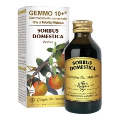 sorbo 100ml analco gemmo 10+