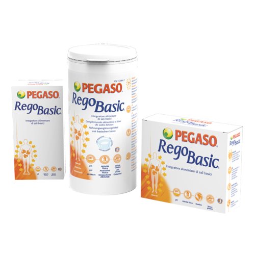 REGOBASIC 12 BUSTINE PEGASO 