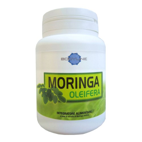 MORINGA OLEIFERA 60CPS BODYLINE