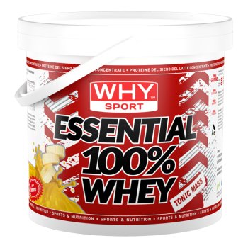 essential 100% whey banana 4kg