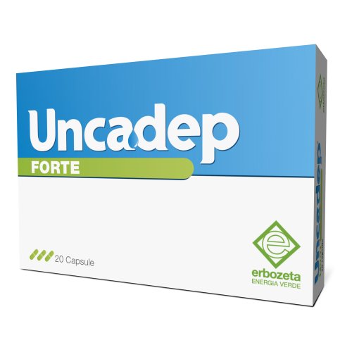 UNCADEP FTE 20CPS