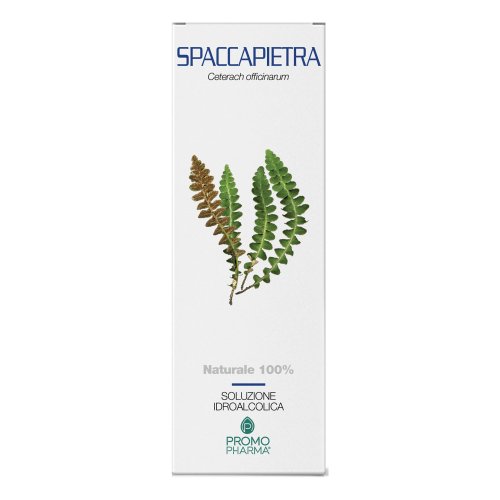 SPACCAPIETRA SOMMITA TT 100G