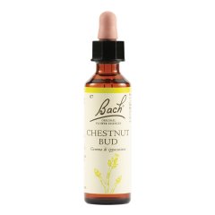 bach  7 chestnut bud 20ml lkr