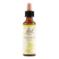 bach 37 rose 20ml