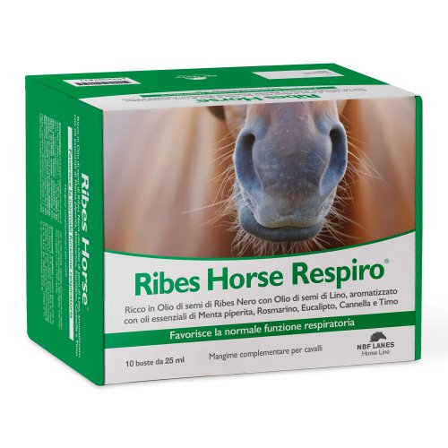RIBES HORSE RESPIRO 10BUST