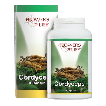 cordyceps 100cps flowers of li