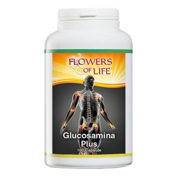 glucosamina plus n/f 100cps fl