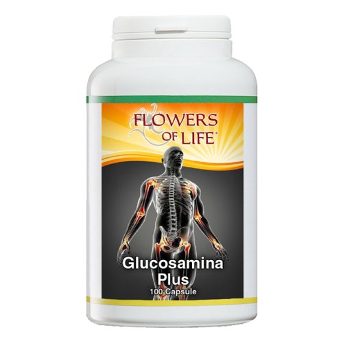 GLUCOSAMINA PLUS N/F 100CPS FL