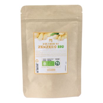 zenzero polvere bio 100g