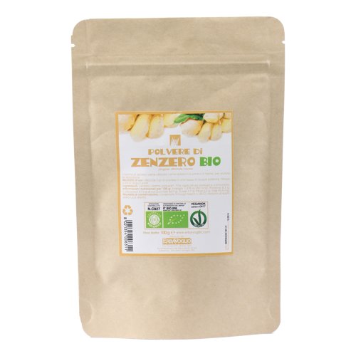 ZENZERO POLVERE BIO 100G