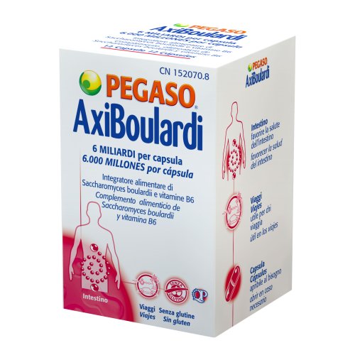 AXIBOULARDI 12CPS PEGASO