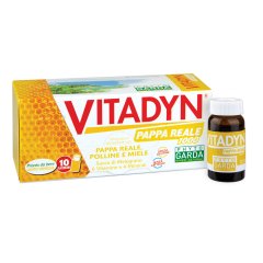 vitadyn pappa reale 1000 10 flaconcini 10ml