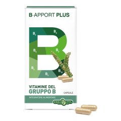 b-apport plus 45 cps       ebv