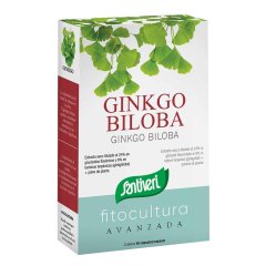 ginkgo biloba 40cps