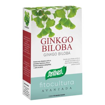 ginkgo biloba 40cps