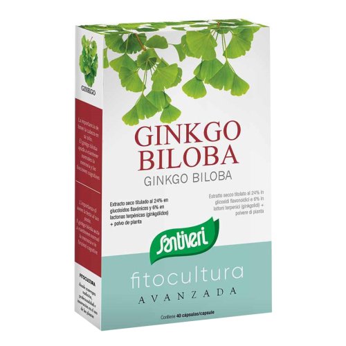 GINKGO BILOBA 40CPS