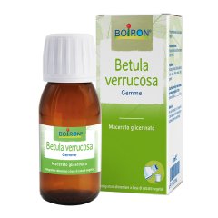 bo.betula ver.gemme 1dh 60ml