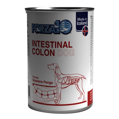 F10 CANE INTESTINAL COLON 390