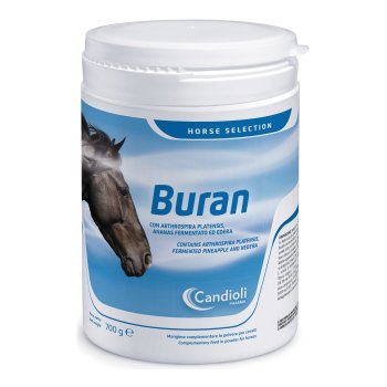 buran 700 gr