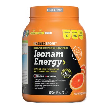 isonam energy orange 1g creat