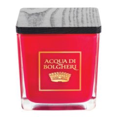 acqua di bolgheri candela profumata bacche di vinum 200gr