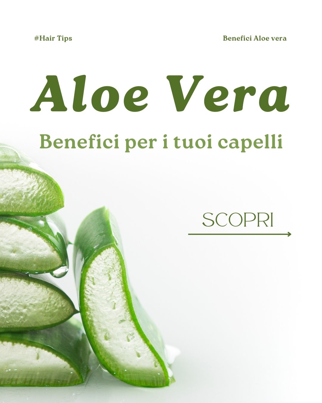 Aloe Vera - Benefici per i tuoi capelli