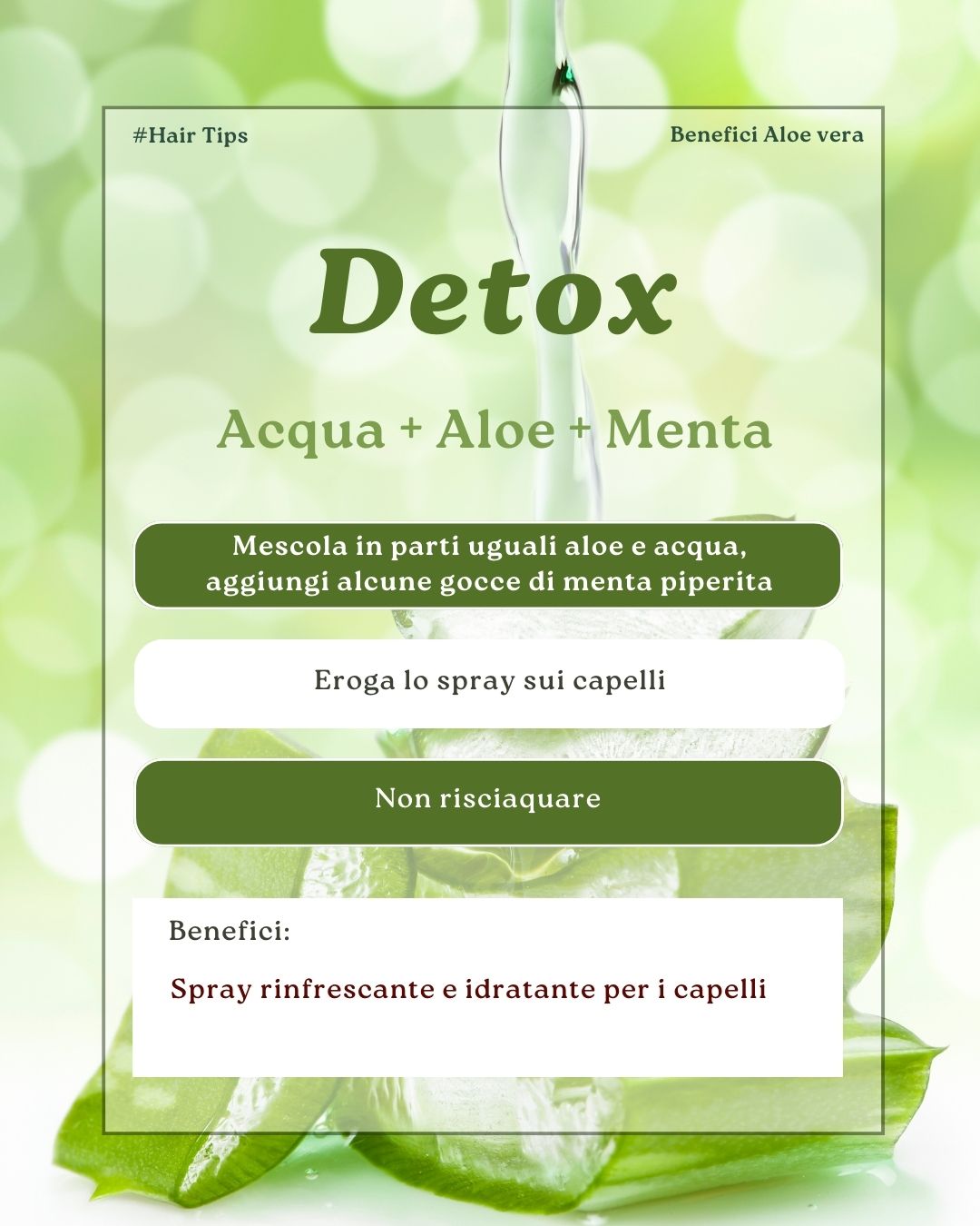 Aloe Vera - detox per capelli