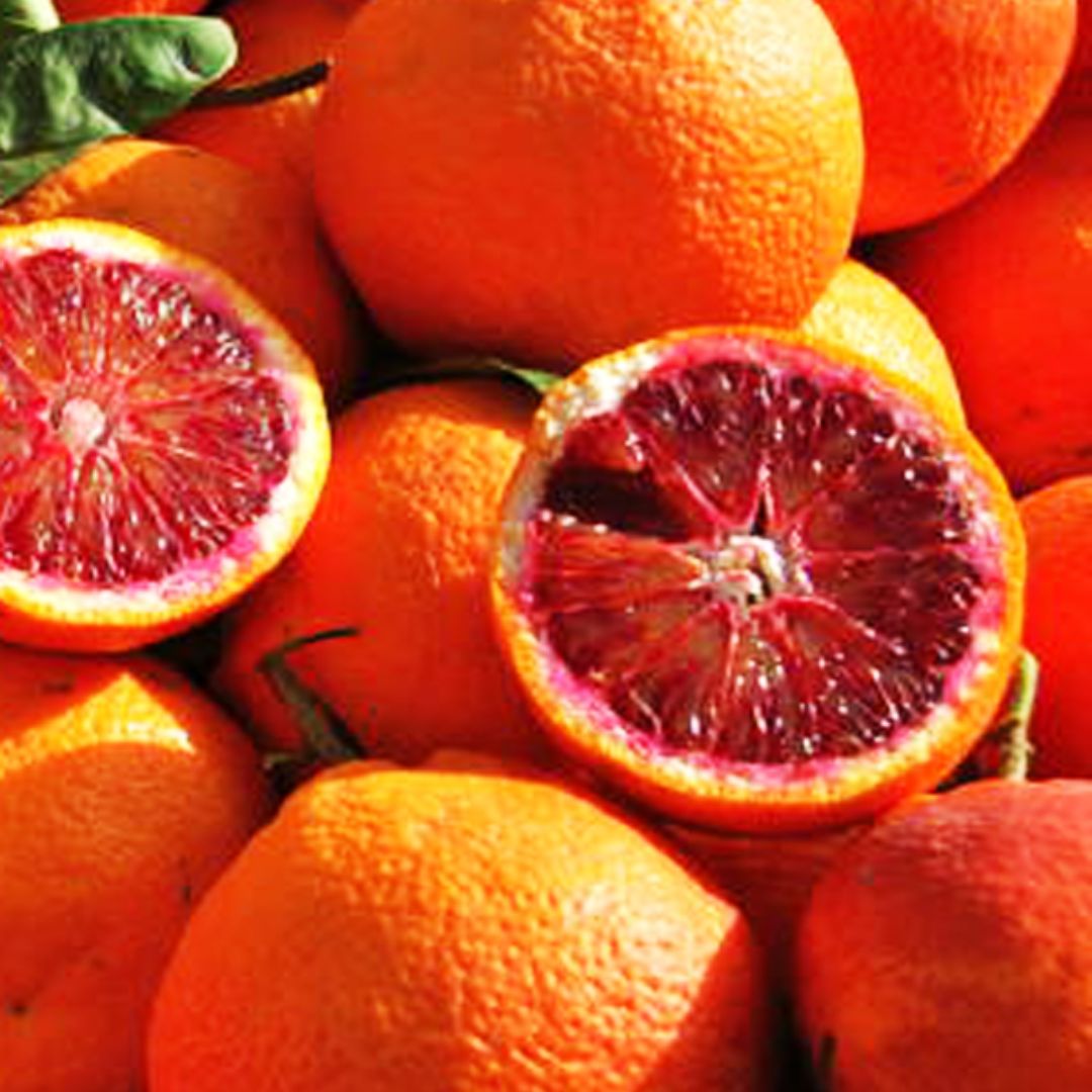 Spremuta d'arancia, un toccasana per l'estate: i benefici per l'organismo e  come consumarla - Tanta Salute