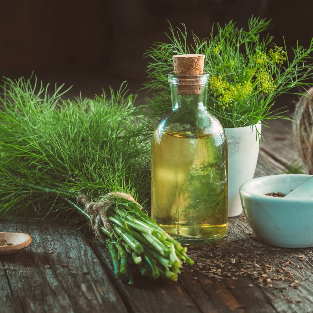 Erbe e infusi naturali per la salute dei capelli