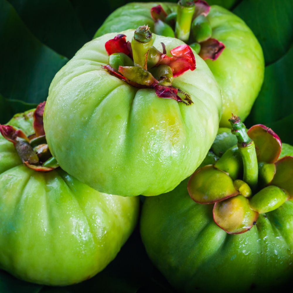 Immagine della Garcinia Cambogia