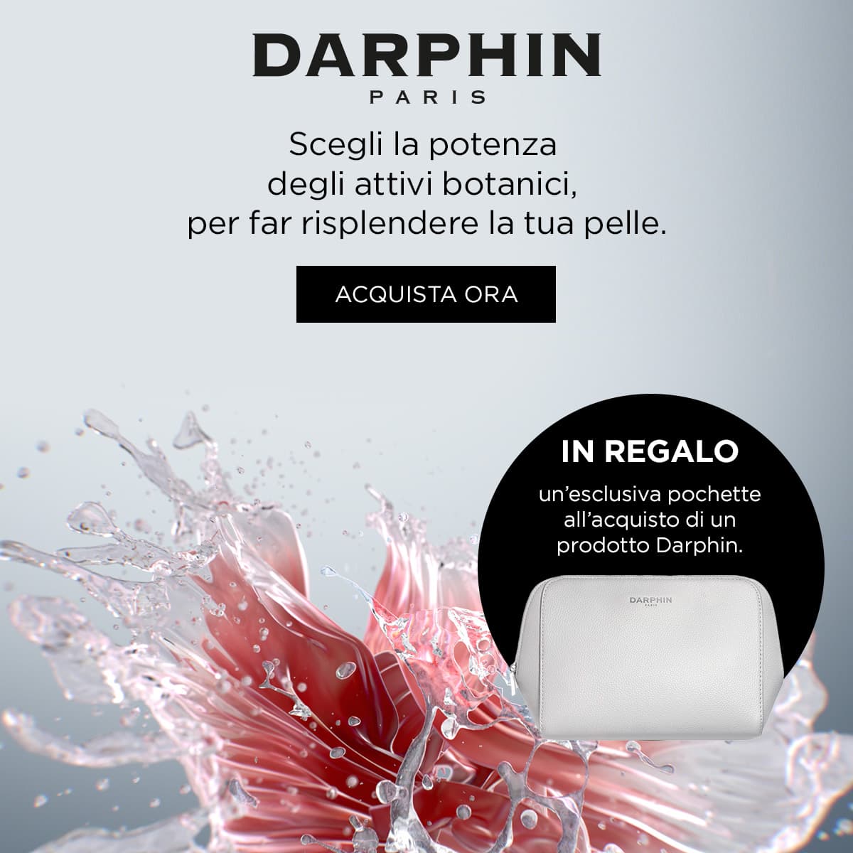 Darphin pochette con minitaglia a sorpresa banner